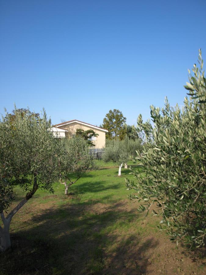 Ferienwohnung Παληοκτημα - Palioktima 2 Neon Rysion Exterior foto